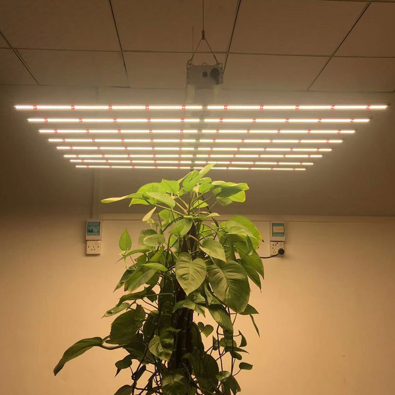 480watt Led Plants growth light with 6bars for Marijuana