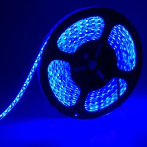 12V 2835 avec bande LED non &eacute;tanche 60LEDs/M 